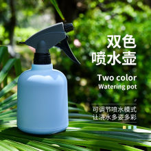 喷水壶浇花多肉喷雾瓶园艺小型家用洒室内消毒喷雾器小喷壶