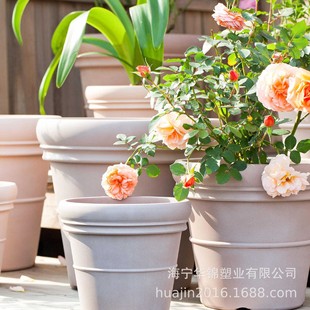���Sֱ�N�β������m���躆�s���ջ���Ӻ񱱚W���s���ֵ���ϻ���