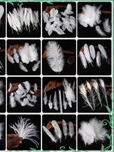 ���u��ɫ��ëDIY�Ʒ������b������Ʒ��߼Ҿ��b��o�����ɫ�o