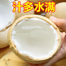 进口椰皇正宗泰国奶香椰子鲜果香水新鲜椰子整箱顺丰包邮孕妇水果