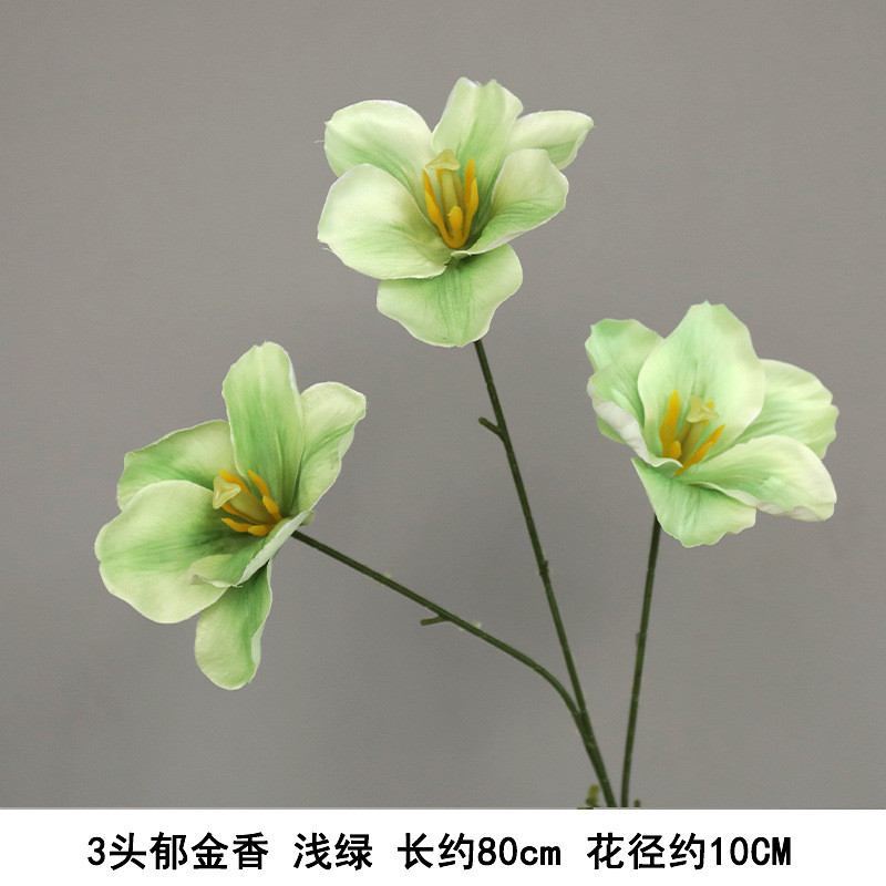 세 머리 튤립 라이트 그린