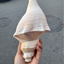 ��Ȼ���� ��ʿ���L���� ��̖�������ݴ�̖����ݚ�������