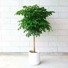 �����ǆΗU�Ҹ�������ƽ�����҃ȿ͏d�¼�����ȩ��Gֲ�Ϙ���}