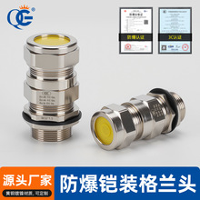 铠装防爆双密封接头填料函船用双压盖BDM20G1/2NPT黄铜隔爆增安