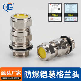 铠装防爆双密封接头填料函船用双压盖BDM20G1/2四分NPT黄铜隔爆