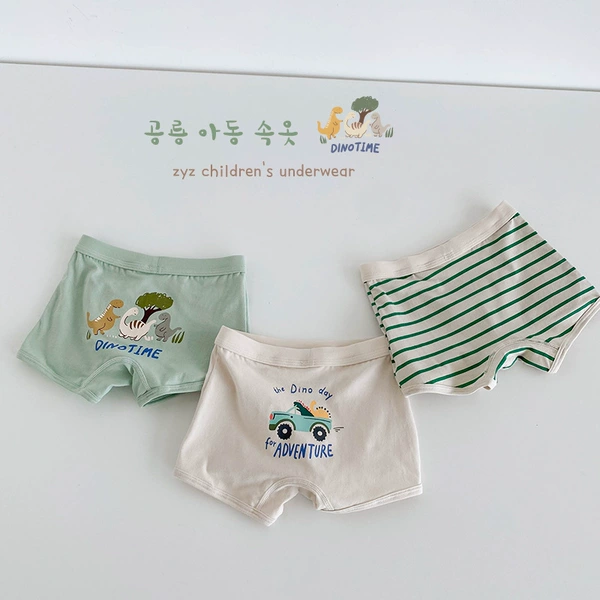 N123 Dream Chaser Dinosaur Briefs Boxer