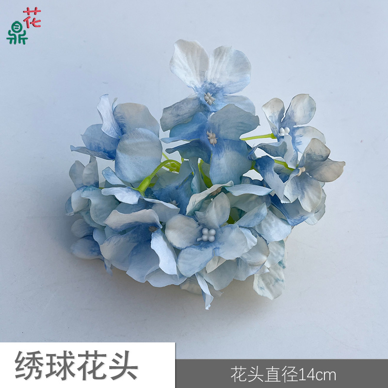 34 수국 머리 YY 파란색과 흰색