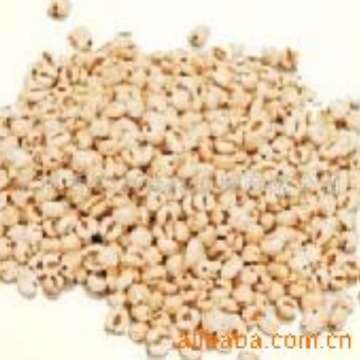 ԶʳƷ򻯻--򻯻 򻯻 򻯻