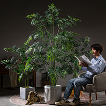 �ߙn����Gֲ���K�F�٘������҃ȿ͏d���ͷ���ֲ���쾰�b[��