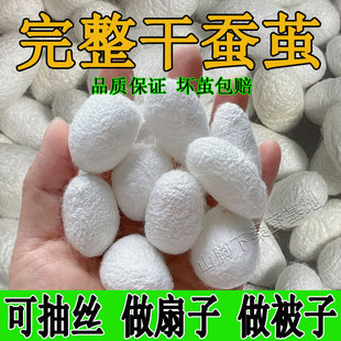 ɣ�Q�O�ɳ��Q�z���ֹ����L��Ȼ��Ӽ�p�m���Q�O�����Q�z�����ӌ��