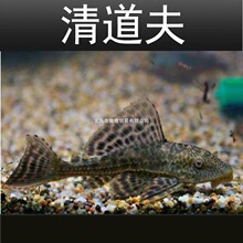 ��ɫ����������~���~���͵�Ϣ���~�S��