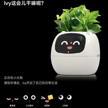 跨境智能懒人自动吸水花盆塑料树脂圆形USB充电式室内植物小花盆