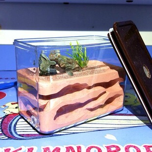 LZD-1 �� �L����B ʯ�ೲ �ǹ��� ��ֳ�Ǳ�