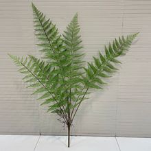 �����R��ާ7�^�Ꭷֲ�ﱱ�W����ֲ�����Բ�˹��ާ�~�@�־��^�Gֲ