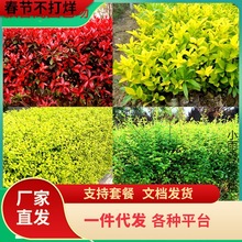 һl~ŮؑɭС~Ůؑt~ʯ骶ļͥԺ