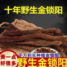 ҰiꖃɹŰilșƷȫɐݲݾ