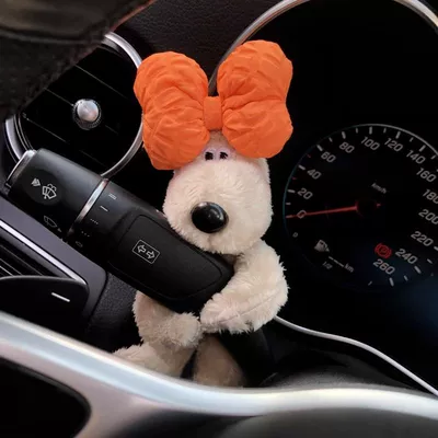 Cute doll dog car: Sürətlər qutusu və əl tormozu başlıqları - orange-bowknot-pregnant-dog