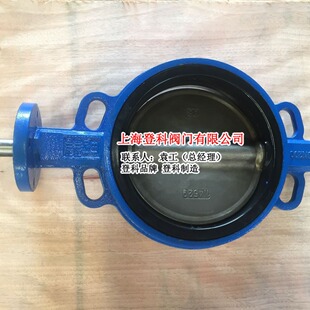 WD71J-10Q DN250 1.4529�� Ó����y ���AÓ�򌦊A���y �o�N���y
