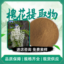槐花提取物 植物提取物 水溶槐花粉 现货包邮 支持拿样 量大从优