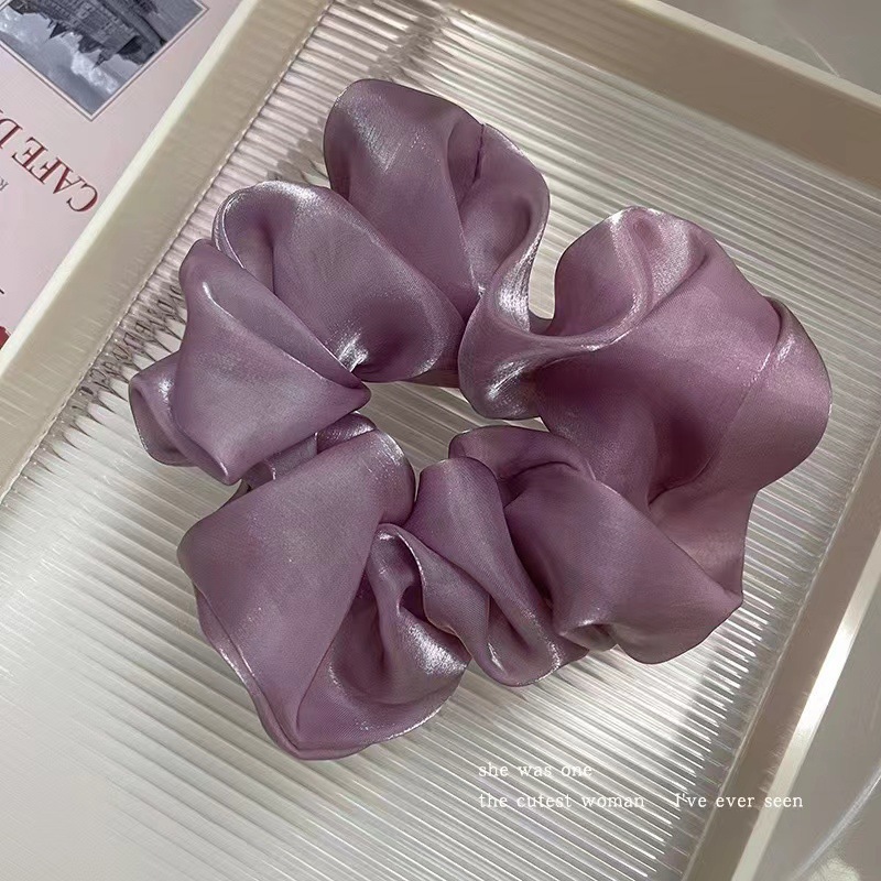 Correa coreana arco de mariposa intestino 2025 cabello anillo de cabello de cabello de cola de cabello de la niña decoración de invierno invierno decoración de invierno