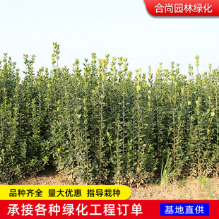 �����������S�����ļ������������ͺ�ͥԺ�h�ʾG�hֲ�ﶬ������