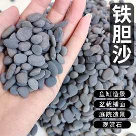 铁胆沙鱼缸铺底造景黑工砂乌龟石爬行沙石头碎石现货供应铁胆沙