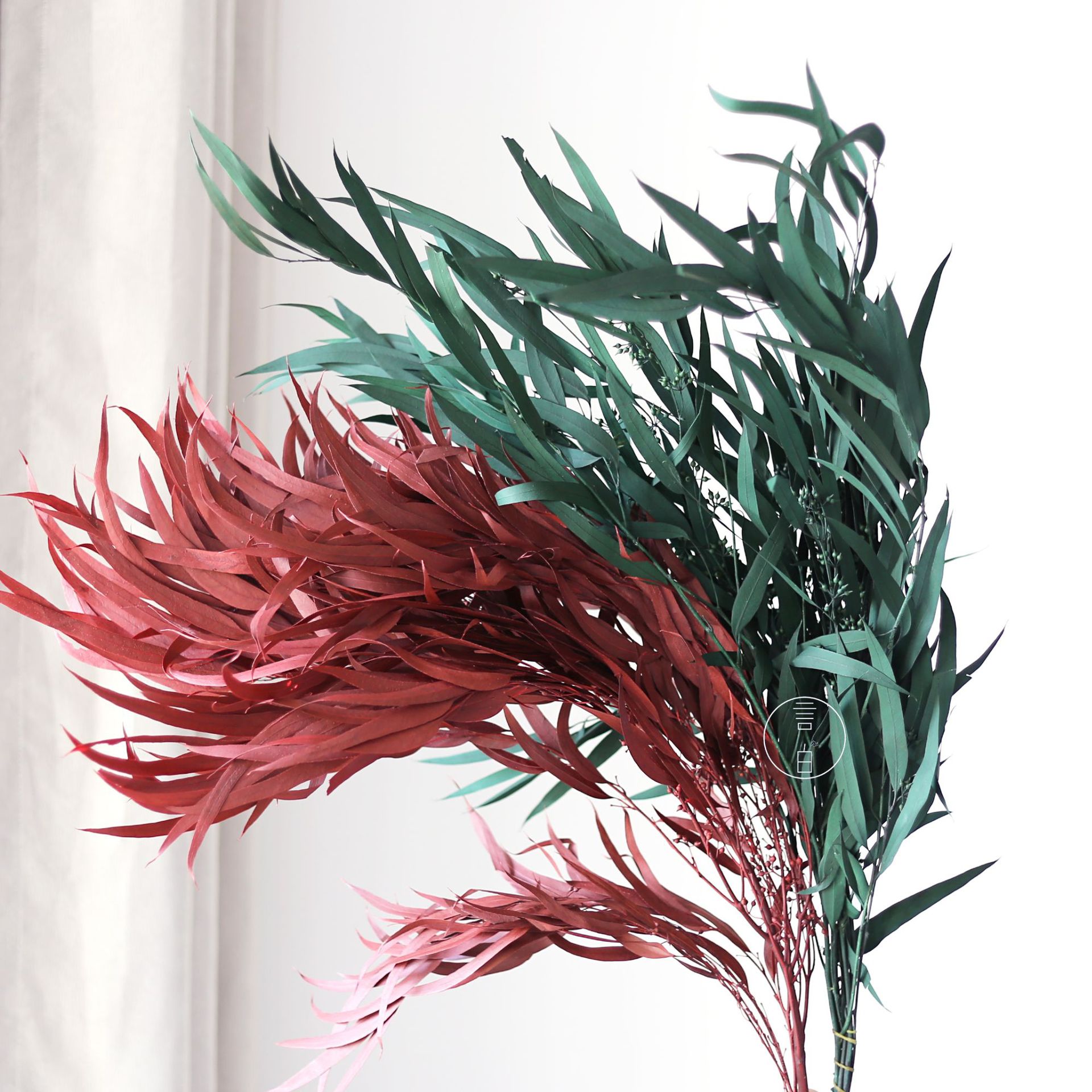 Immortal millet fruit leaves, willow leaves, fine-leaf eucalyptus, dried flowers and forest series with grass and eucalyptus leaves, manufacturer wholesale