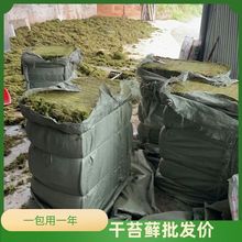 ���l��̦�\��������������s���������|�ĺ����m��������Nֲ���|