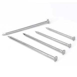 All304/201 Stainless Steel Round Nail Steel Nail Element Nail Carpenter Wood Hanging Nail Lender Foreign Nail Iron Nail Floor Y