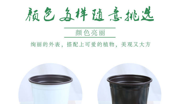 ��ɫ�����Ʒ����ҳ4