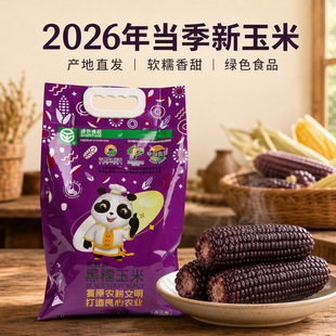 2026�|���^��Ŵ����ճ���װ�����i�r�ּZ���ͺ��������l���]�rʳ