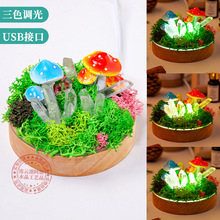 天然水晶白水晶单晶体森林小夜灯 USB接口家居氛围灯装饰摆件批发