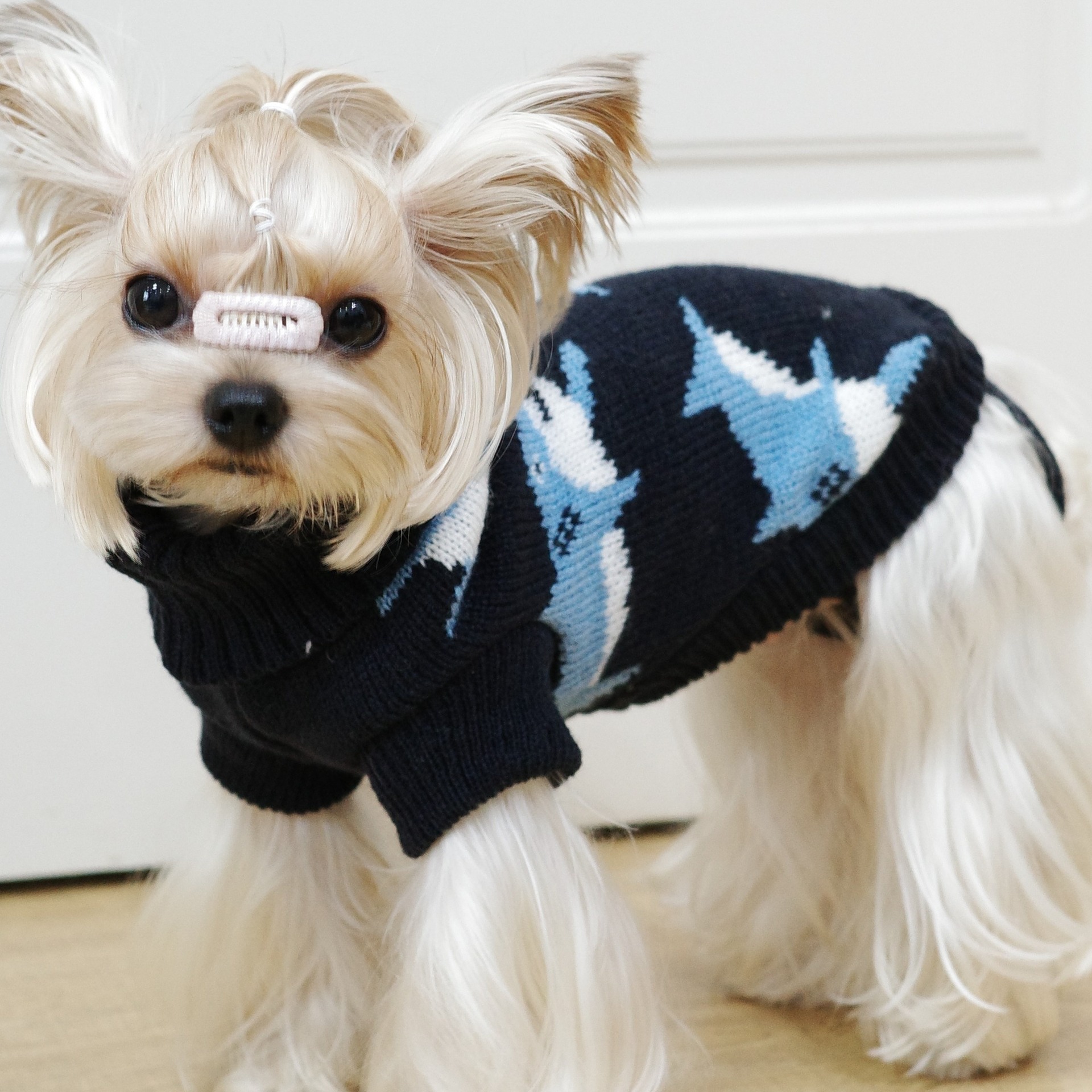 犬ニットセーター秋冬サメ柄暖かいペット服小型犬テディビションかわいい服