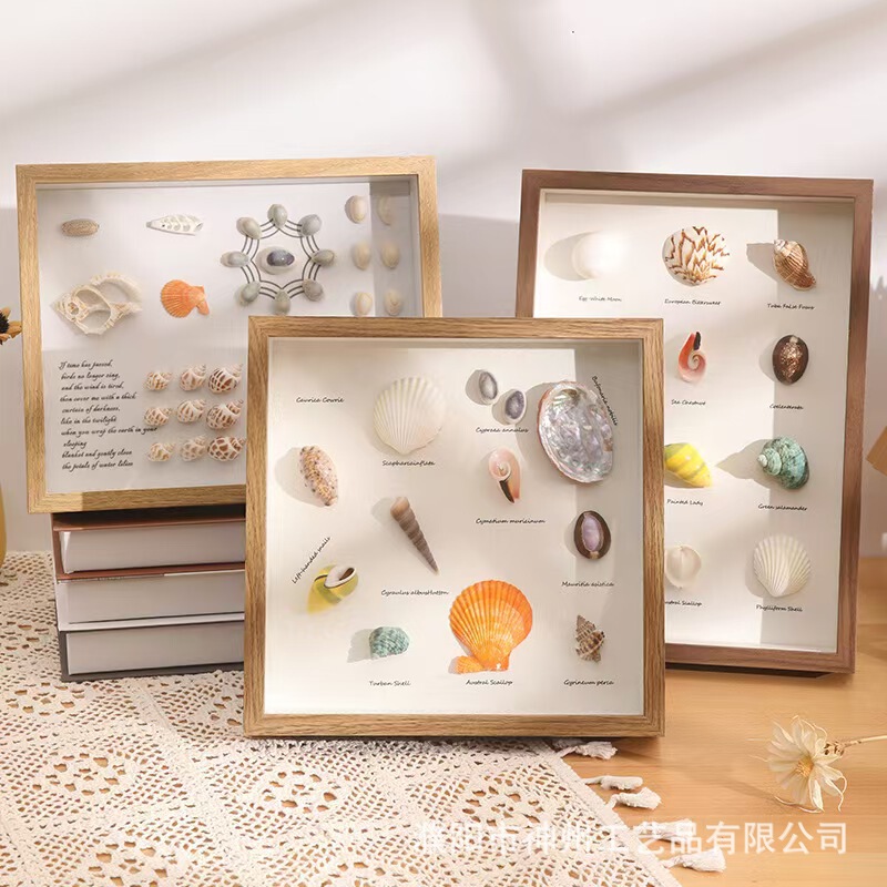 Natural Shell Specimen Conch Photo Frame DIY Hand Mounted Display Table Home Decoration Three-dimensional Hanging Painting