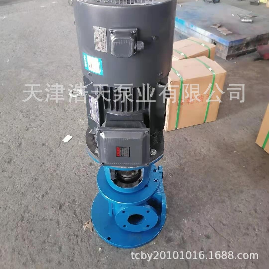 立式变频齿轮泵TDYLD 圆弧 斜齿 人字齿轮泵  输送 计量齿轮泵