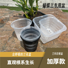 ブリキ石gokカトラン定植籠水培水苔蝶蘭専用プラスチック植木鉢通気角型制御根盆