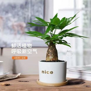 �lؔ������ֲ���҃ȿ͏d�GֲС�辰�ļ������k������ؔ����