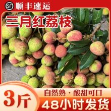 ����S���]��2026��V�����r��֦�F�l�Fժ��֦�����^���`ɽ��֦