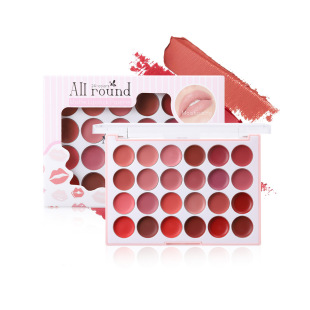 Amazon Explosions 24 Color Lipstick Plate Cross-border E-commerce Makeup Lasting Moisturizing Matte Lip Glaze Lipstick in stock Wholesale