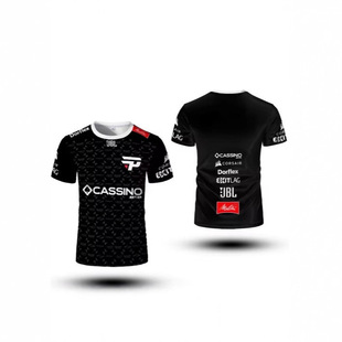 PaiN Gaming Club 2025 �Ʒ��\�� SGO��T�\����͸���\�Ӷ�������