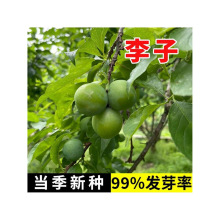 ӘѷƷNAoˮYϱNֲͥԺ