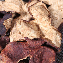 10���Ƥ�S�����l�V�|���Ƥ���خaԇ���b�Ҝ��B����һ�����l