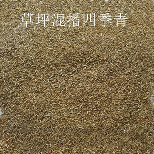 ���l���`̤��ƺ�N�ӹ������N�Ӻ������o�°�����Ľ�� ���òݲ���