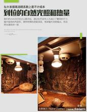 ��������UVA�ӟ�؟�������䱣�؟����x�՟���B��UVB�񱳟�