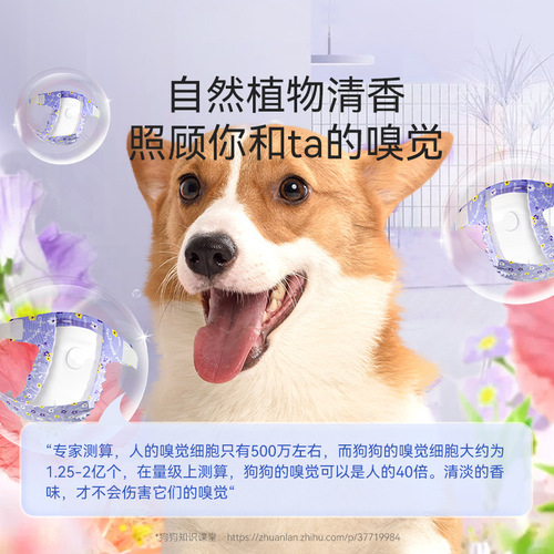 Dog diapers, scented diapers, pet menstrual pants, safety pants for male and female dogs, special aunt pants, safety pants