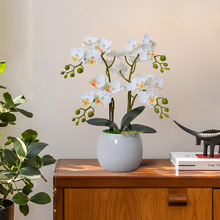 m滨bԽ辰Ƶٻ͏dbٻ[l