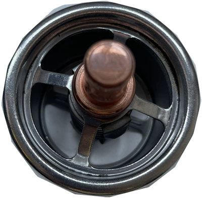 Thermostat CAT thermostat 345D 3449d