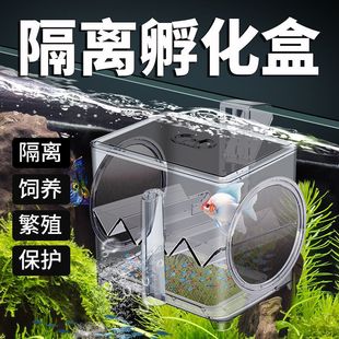 SQG Fish Tank Hatch Isolation Box Acrylic Guppy Breeding Box Tropical Fish Small Fish Juvenile Fish Hatch Production House