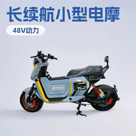 其他非机动车;其他电动车;电动滑板车