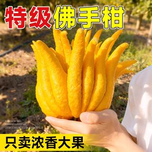�Fժ���r���ָ�ˮ��ֲ���������^�p�[���҃�ˮ�B�Gֲ�幩��ʳ��